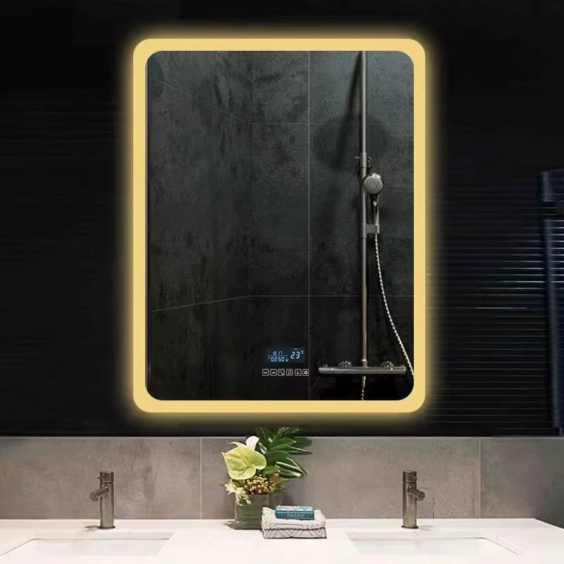Personal Custom Backlit Accensa DUXERIT Bathroom Speculum IMPERVIUS Vanitas Speculum cum luce