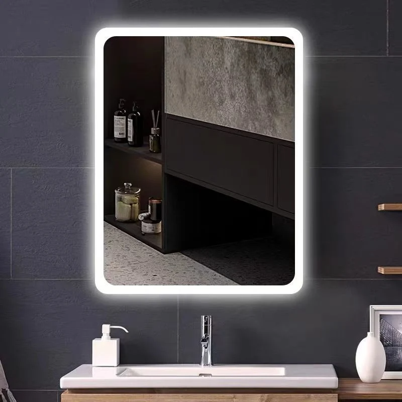 Personal Custom Backlit Accensa DUXERIT Bathroom Speculum IMPERVIUS Vanitas Speculum cum luce